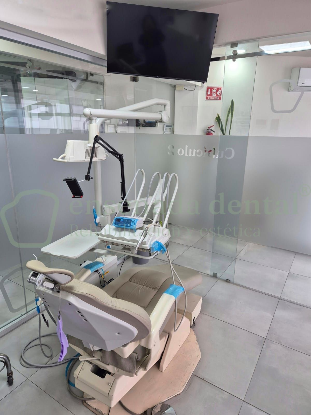 Claudia Valencia Macfarland-5