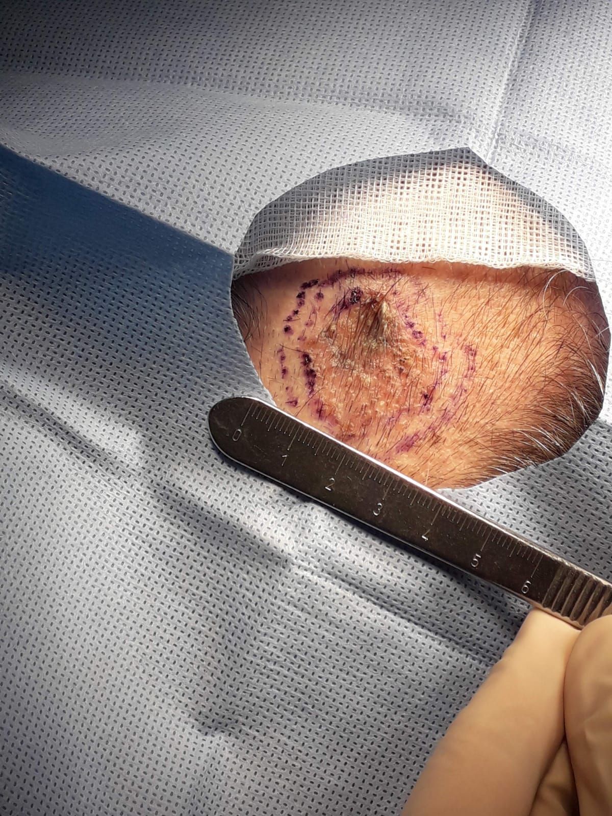 Cristina Cortés Peralta-15