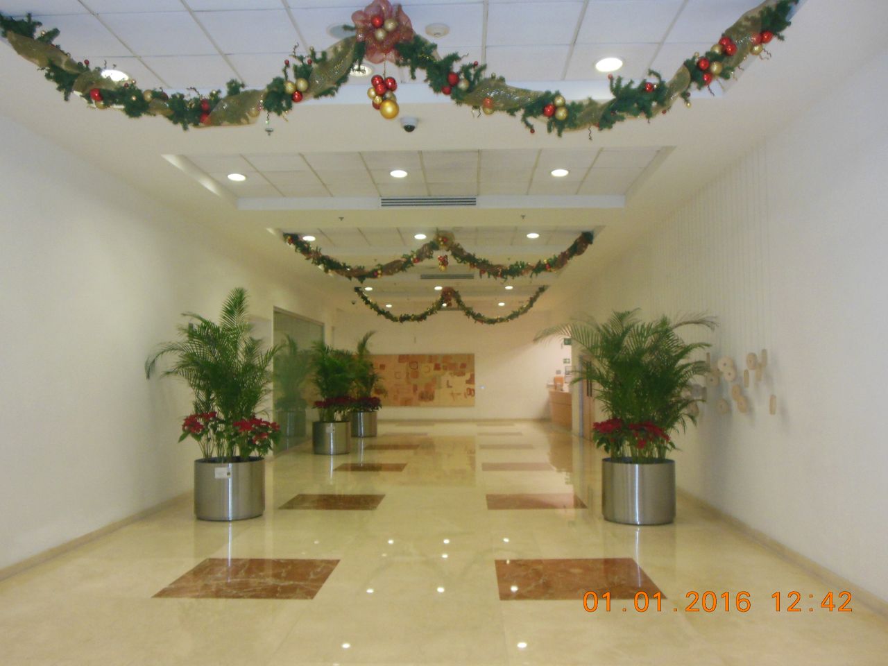 Andrés Vicente Vela Vizuet-19