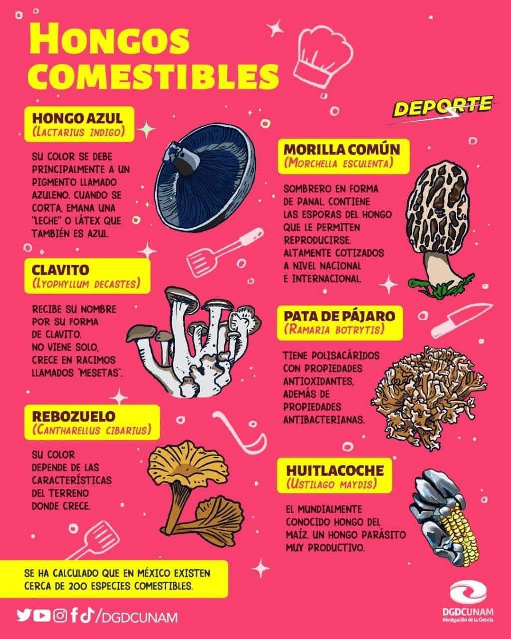 Raymundo Alejandro Cuevas Escalante-368