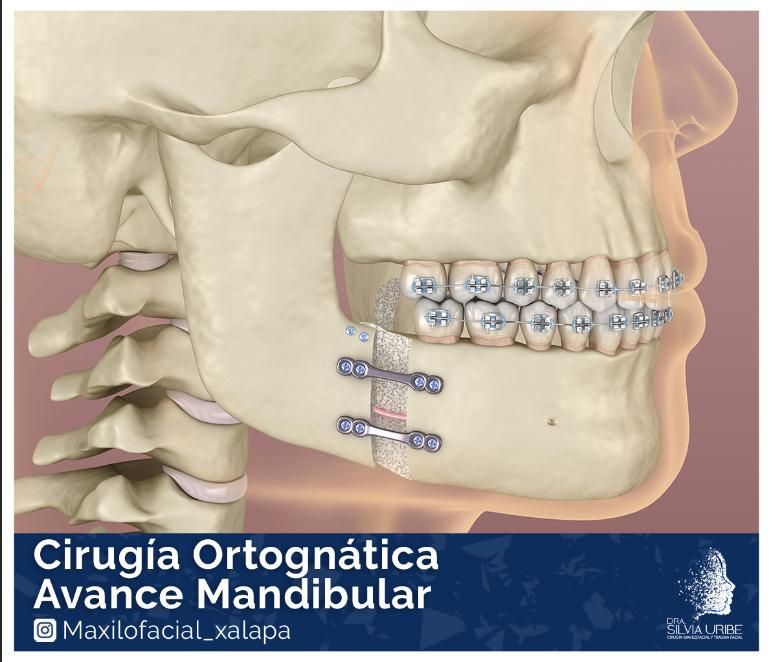 Silvia Uribe Márquez-15