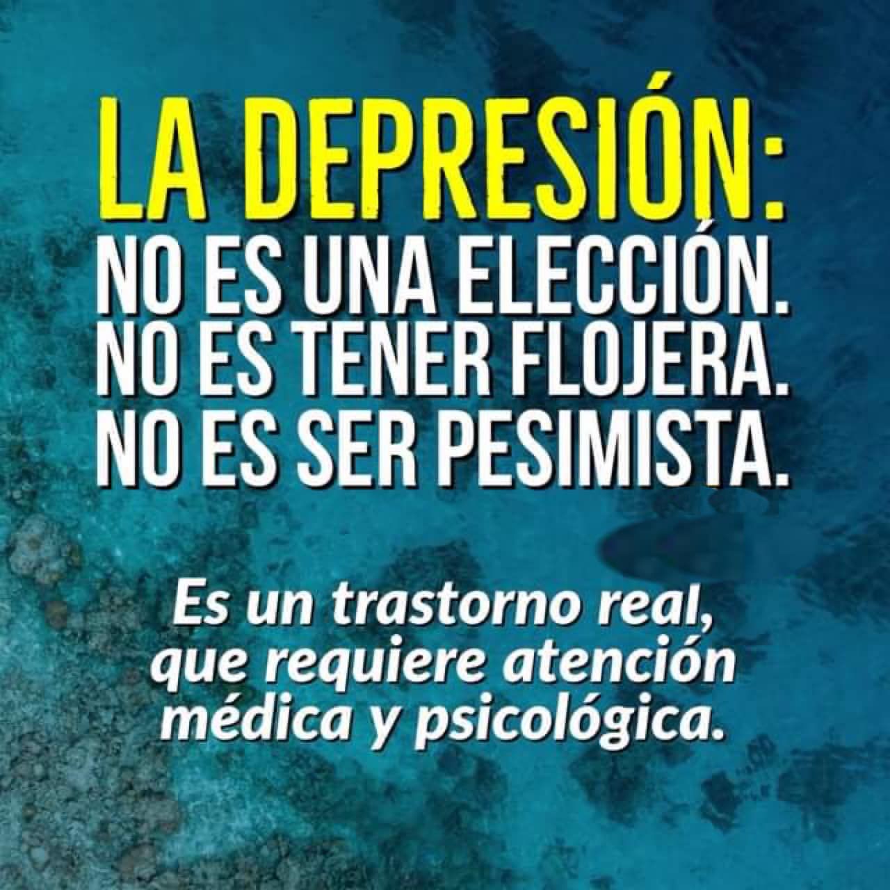 Ricardo Enrique Pech-George-30