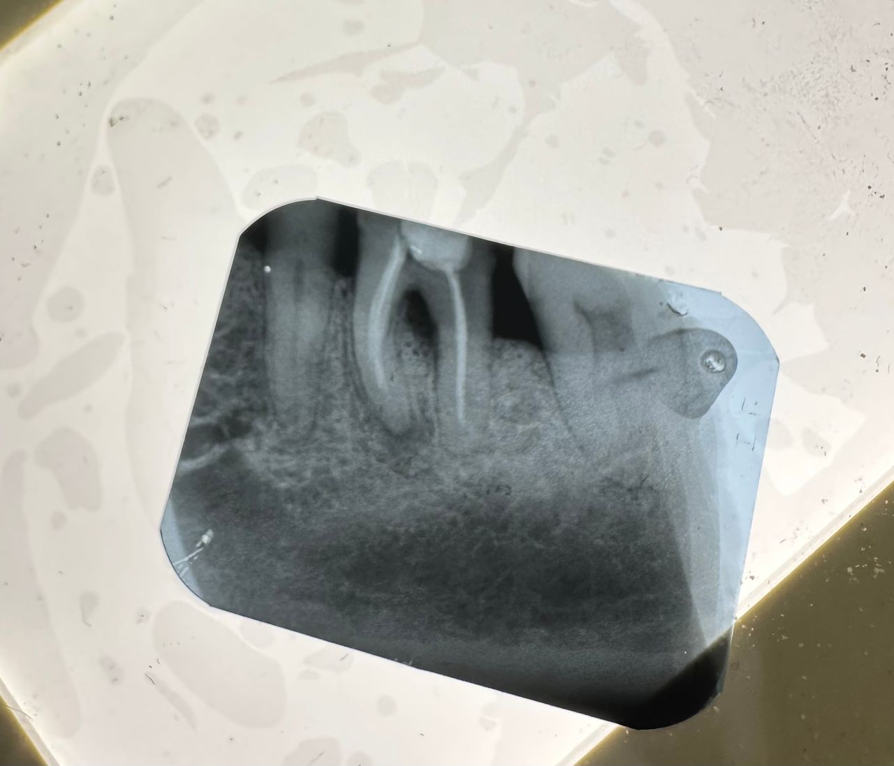 Omar Alejandro Ortiz Rodriguez-15