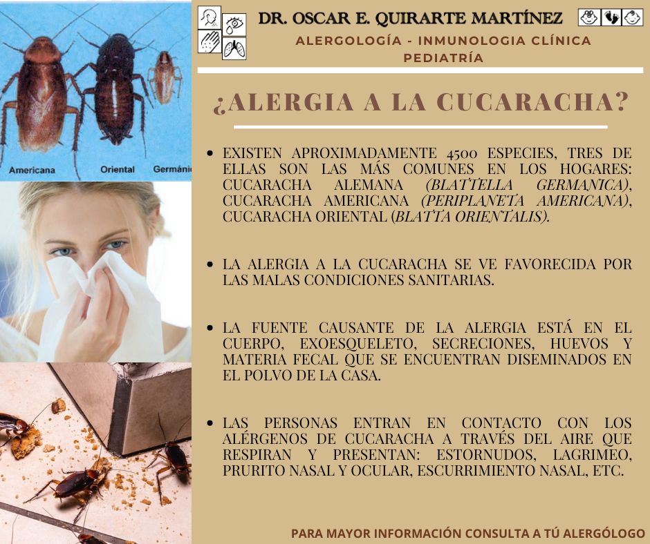 Oscar E. Quirarte Martínez-12