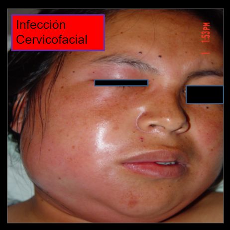 Diana Araceli Dávila Hernández-13