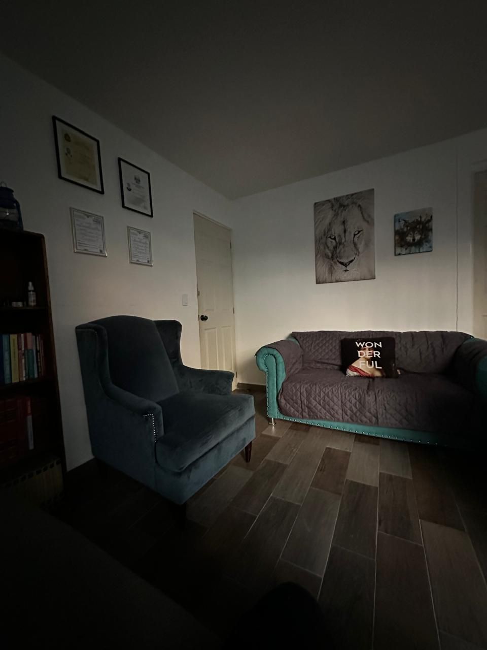 Fernando Pelaez Castañeda-4