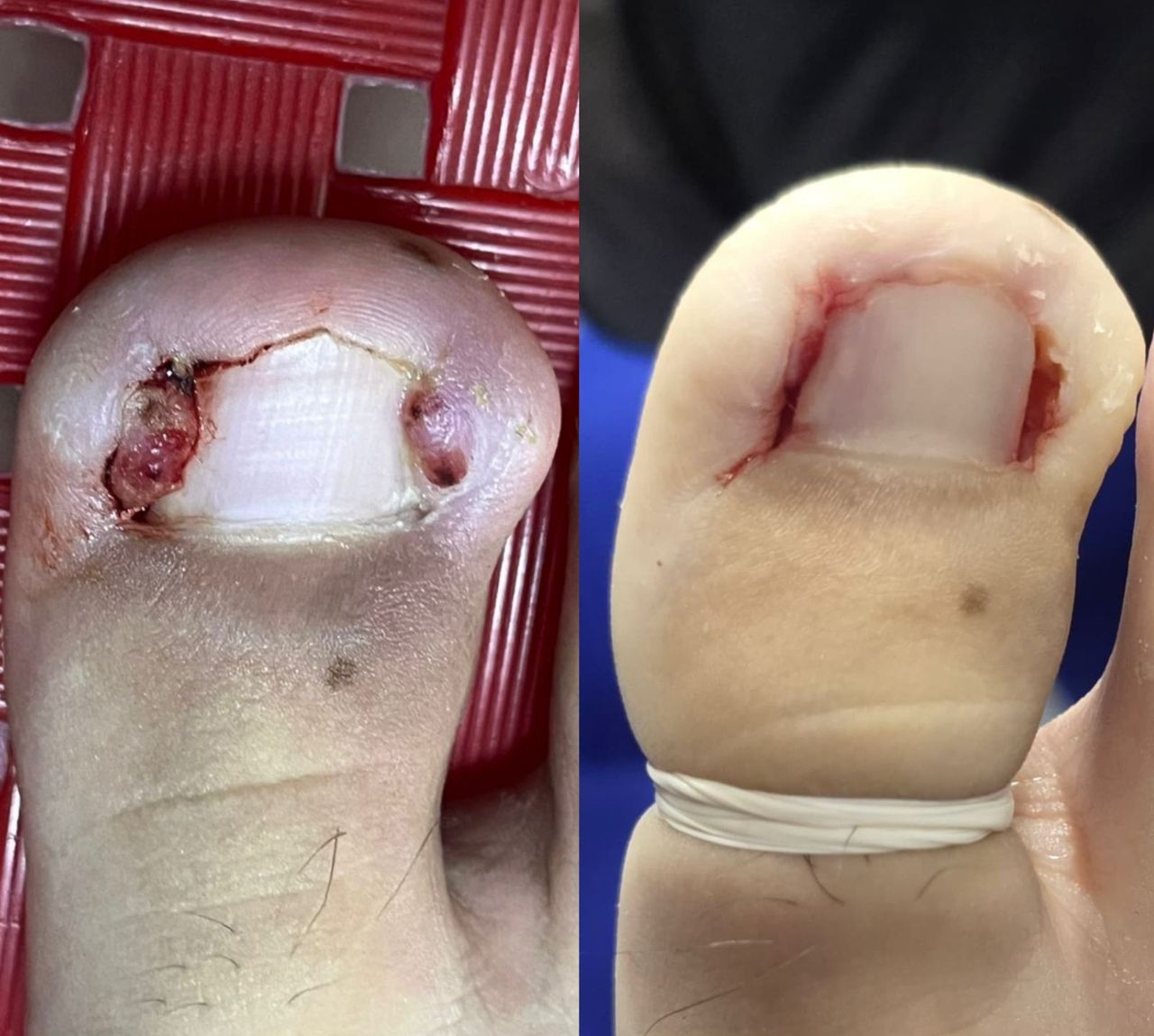 Melissa Burgos Romero-15