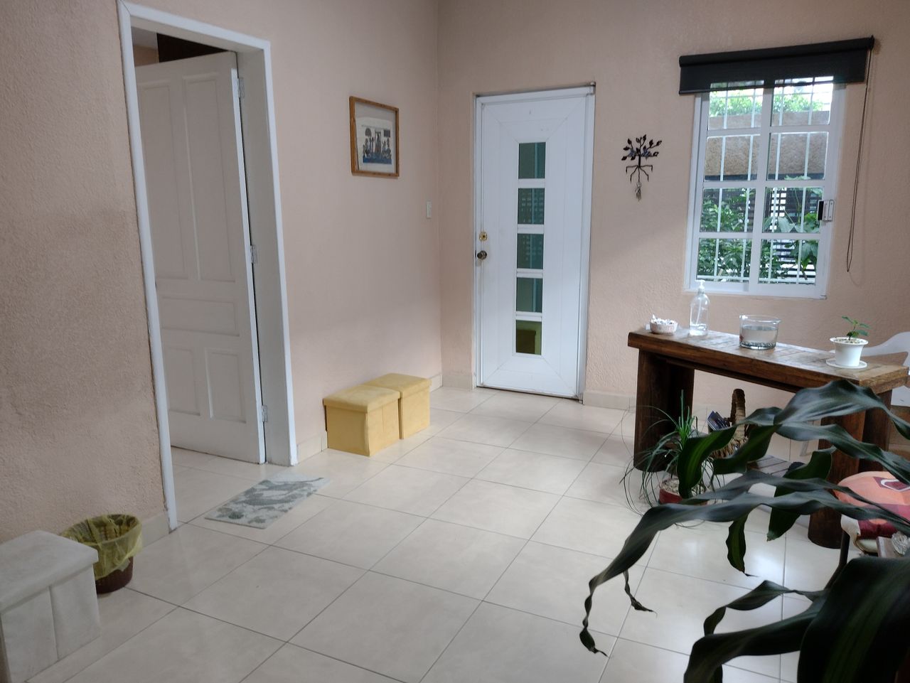 Judith Casillas Alcántara-2