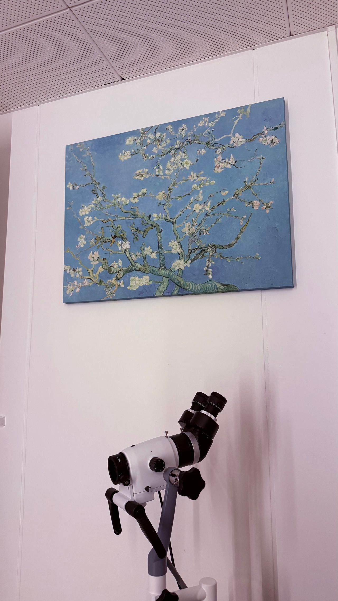 Diana Villicaña Guerrero-10