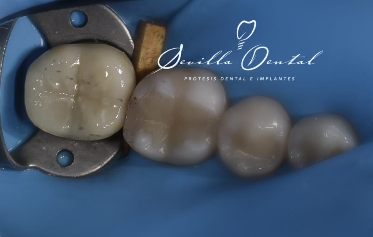 Gemma Marlene Sevilla Olmedo-1