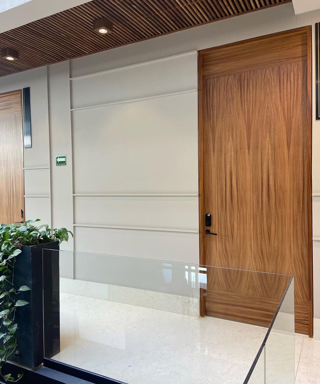 David Adrián Ramos Coria-6