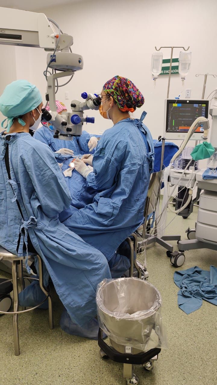 Eylen Pérez Borges-1