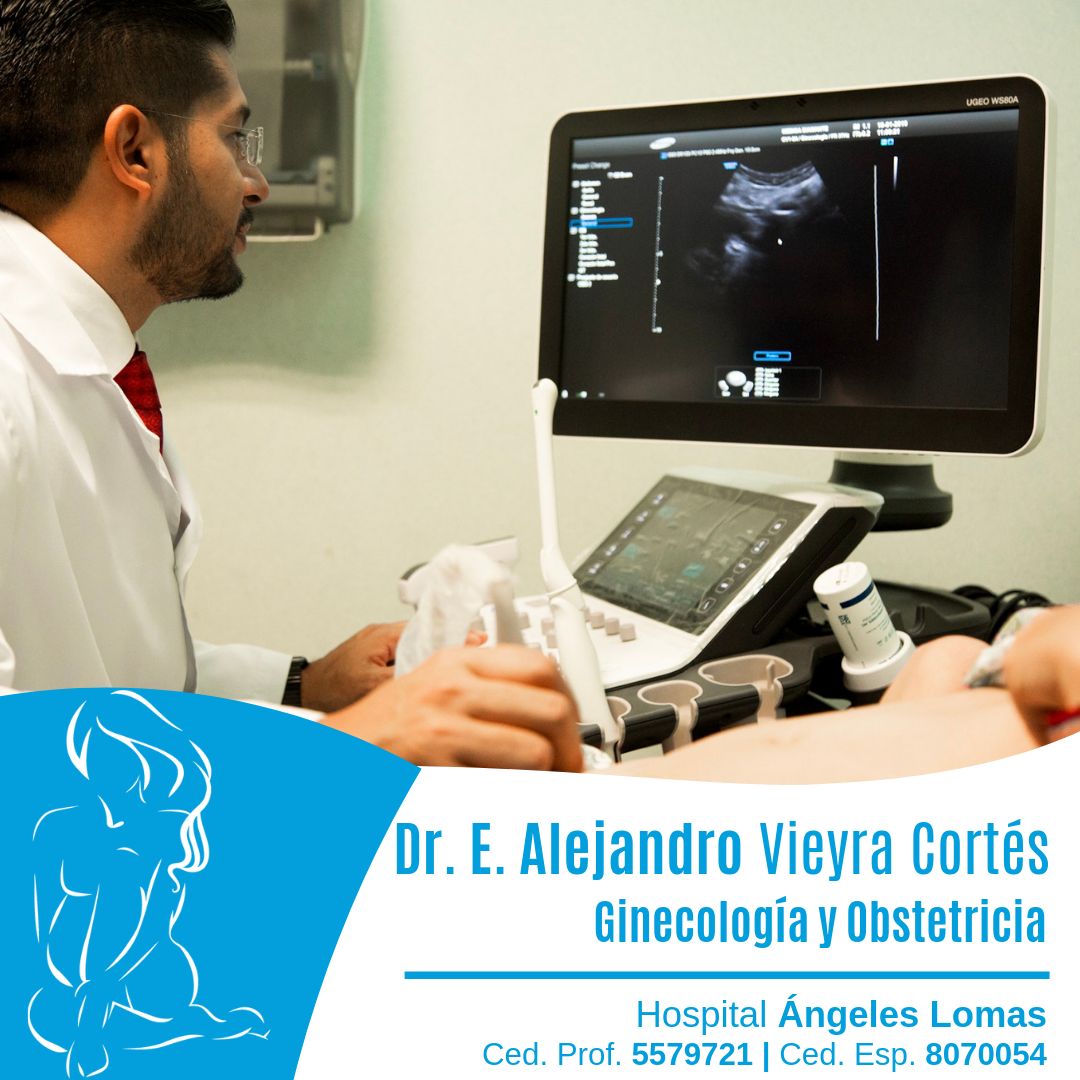 Edmundo Alejandro Vieyra Cortes-2