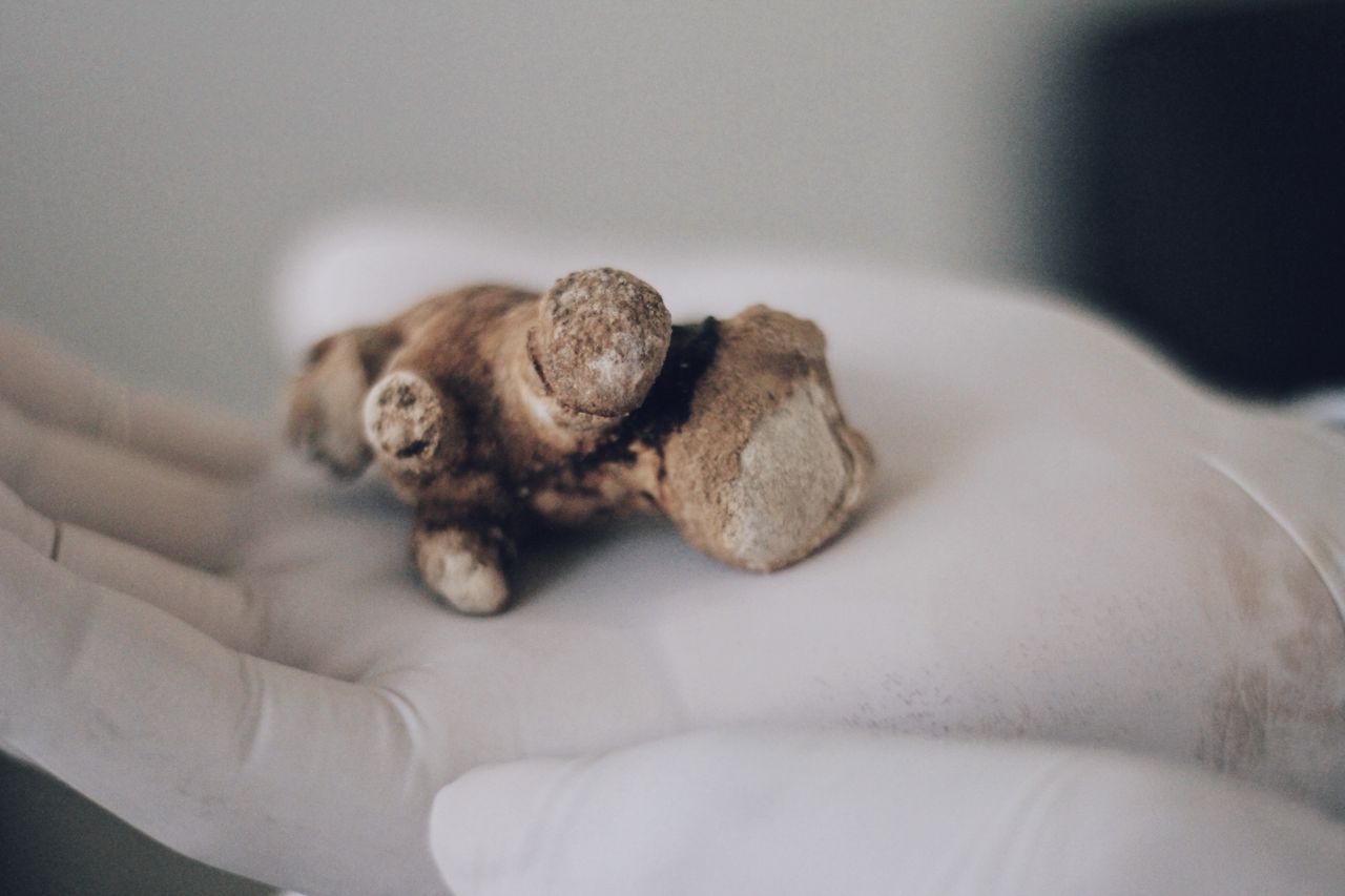 Jorge Eduardo Ojeda Pérez-22