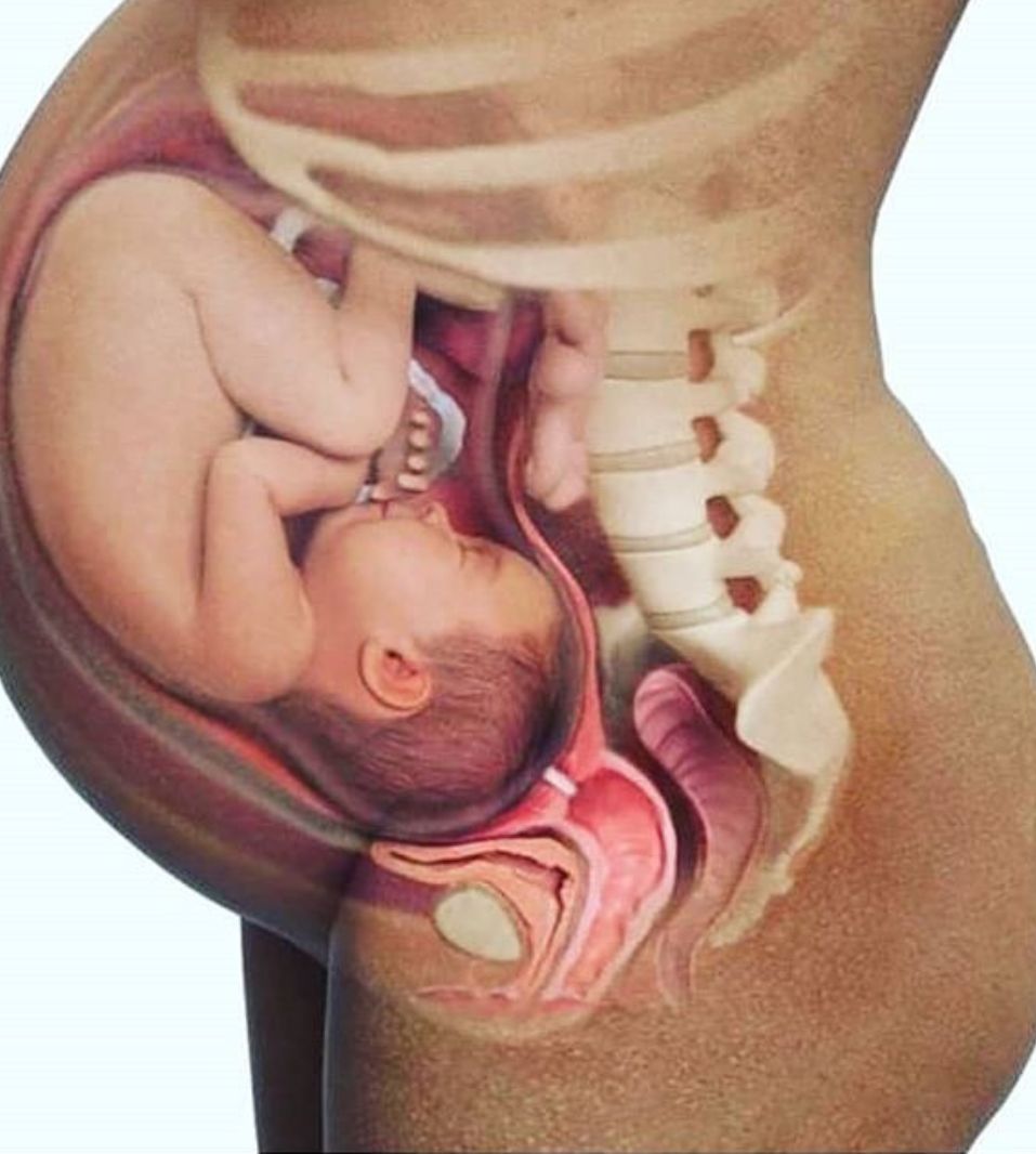 Ma. Del Carmen Hernández Ovando-8