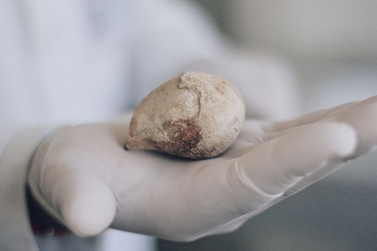 Jorge Eduardo Ojeda Pérez-21