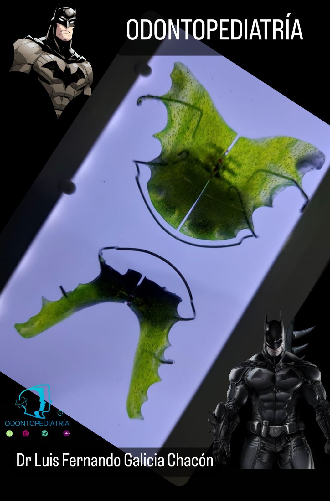 Luis Fernando Galicia Chacón-6