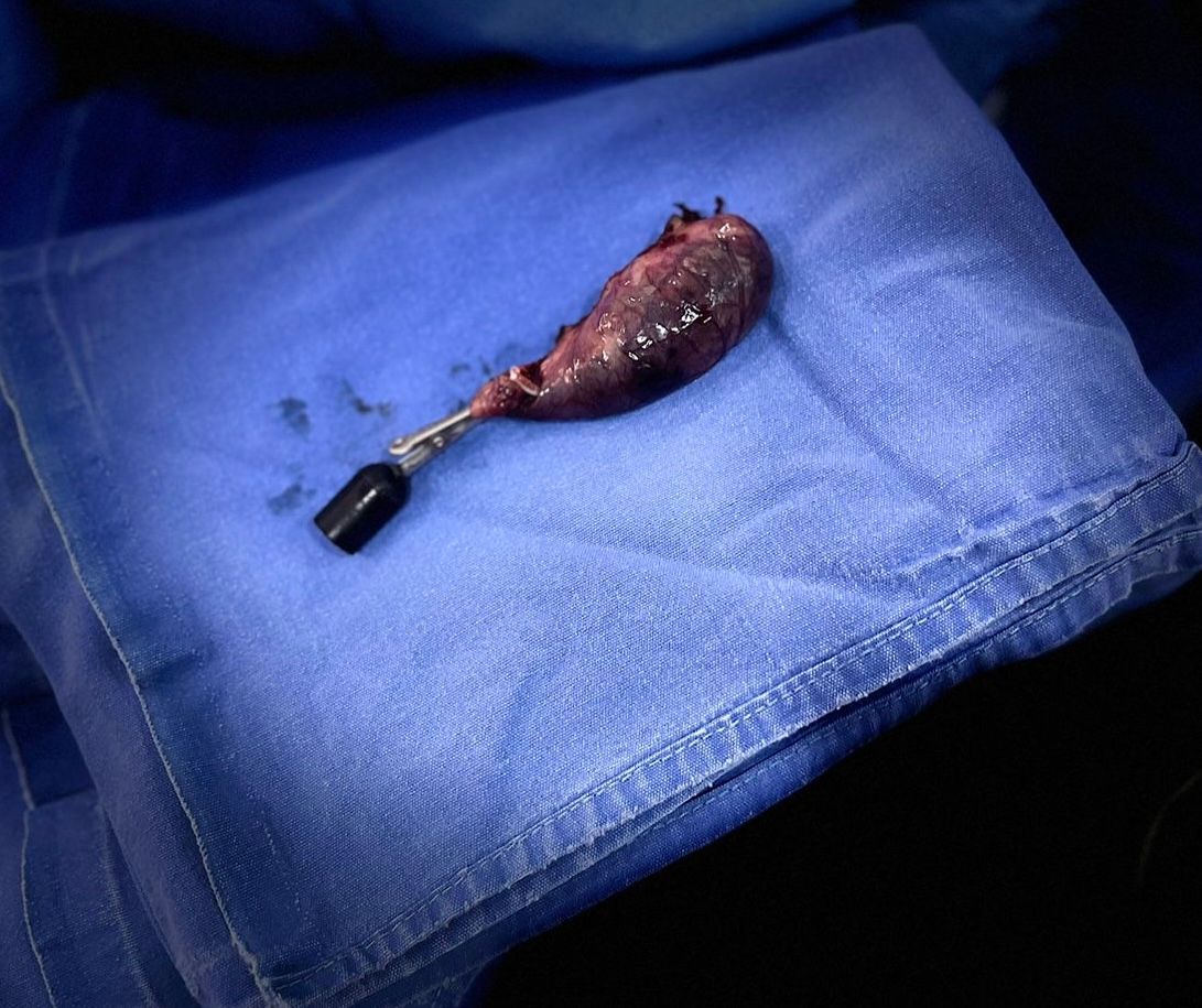 Jose Manuel Organista Adame-11