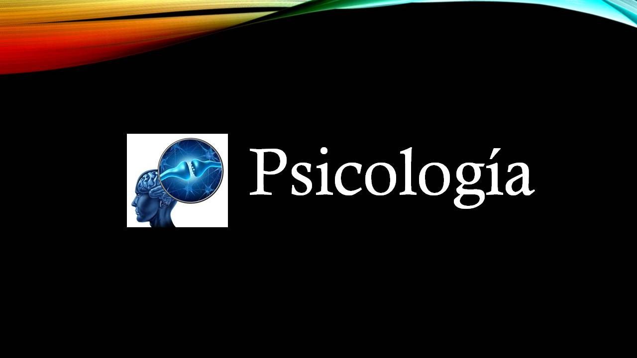 Liliana Castillo García-19