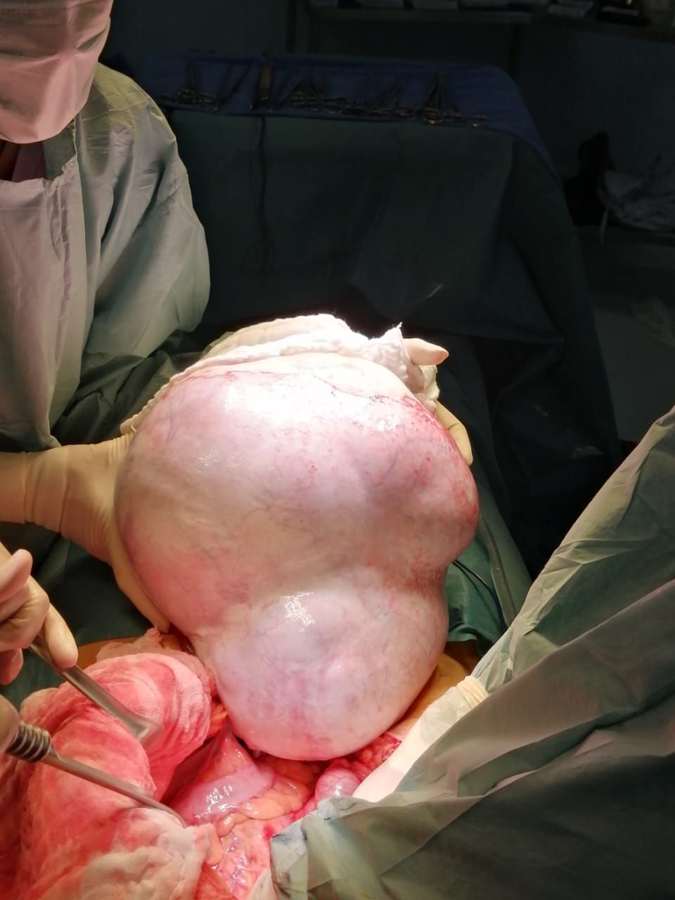 César Espejel Valdés-26