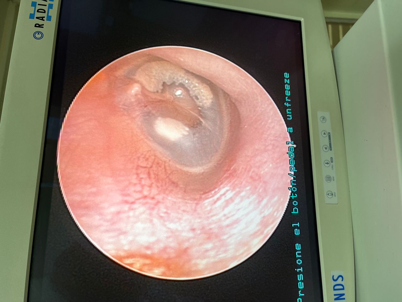 Irma Araceli Carrillo Soto-3