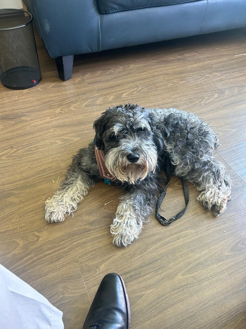 Jesús Mota Nolasco-10