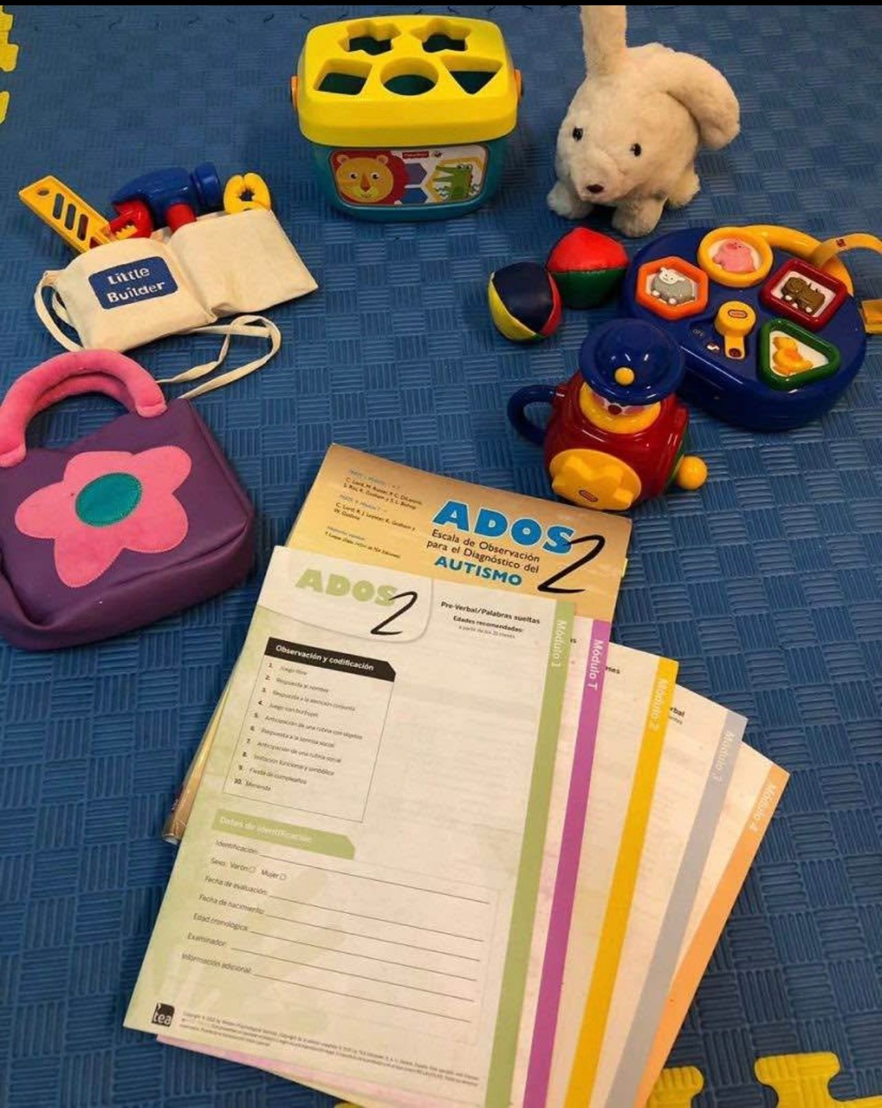 María Antonieta Cortés Rubio-3