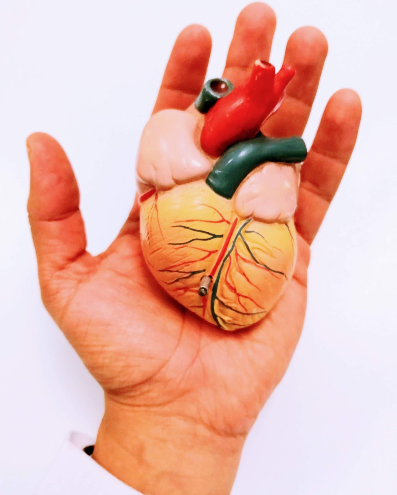 Juan Antonio Vega Rosales-5