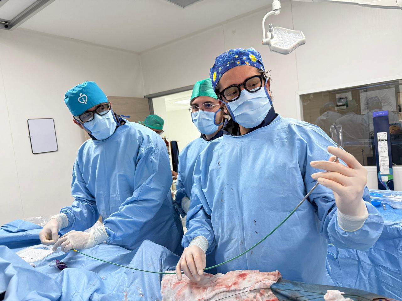 Jose Fernando Vargas Ledo-2