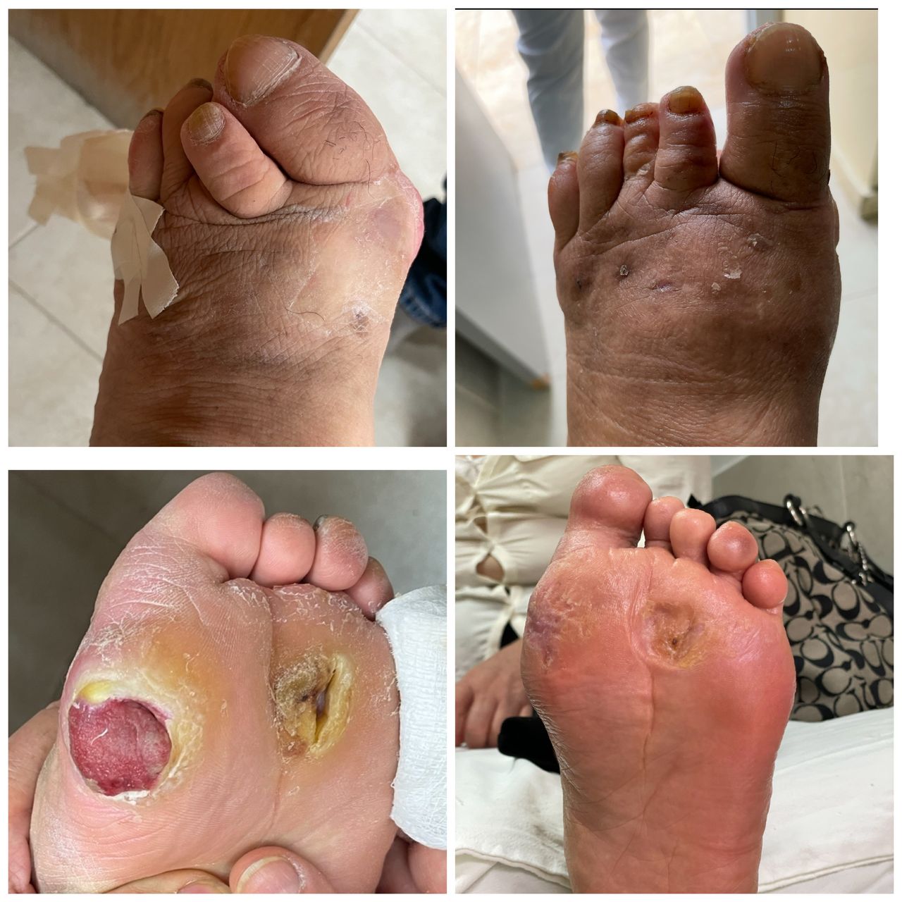 Carlos Tapia Hernández-6