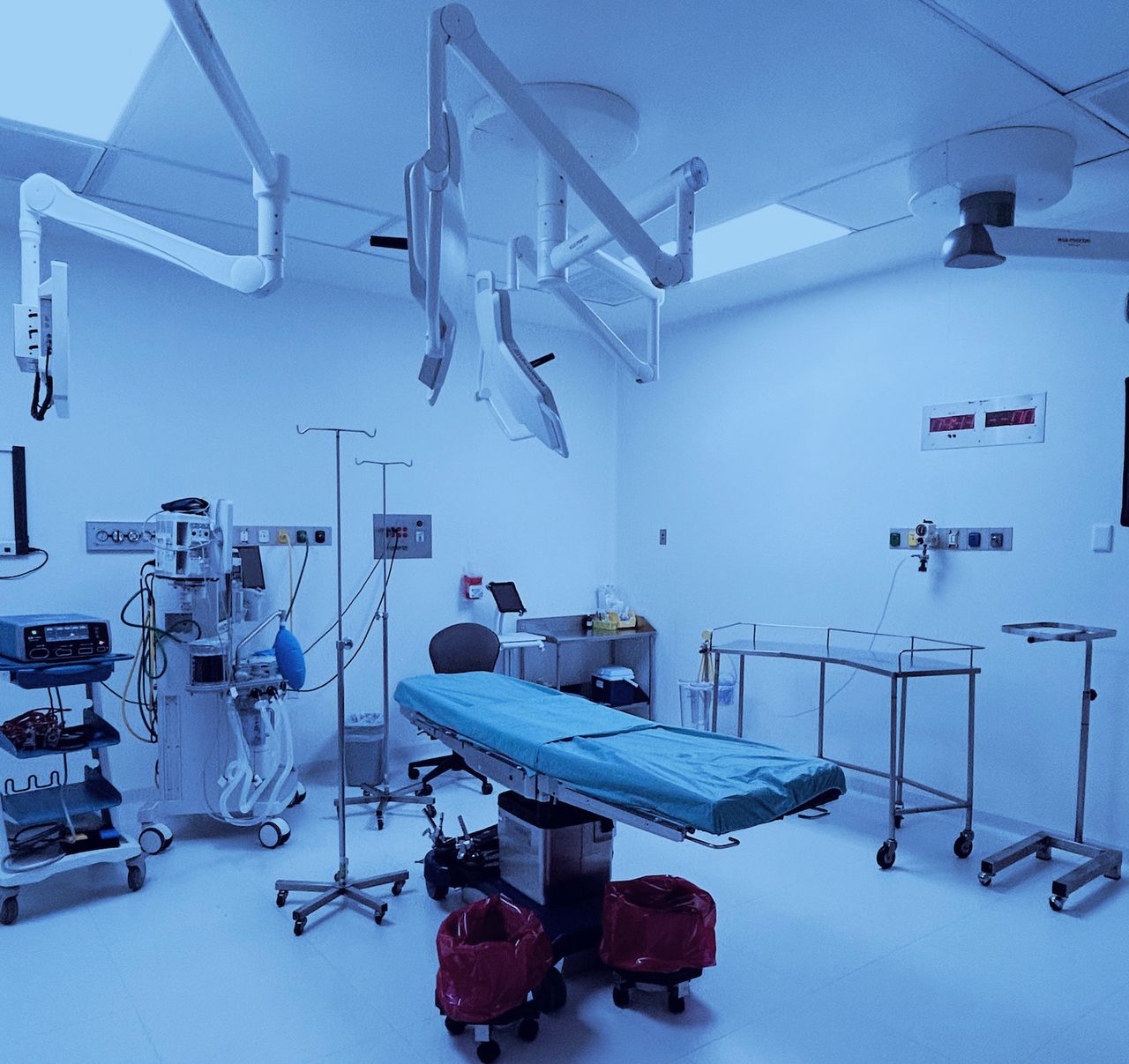 Carlos Damián Palafox Vidal-5