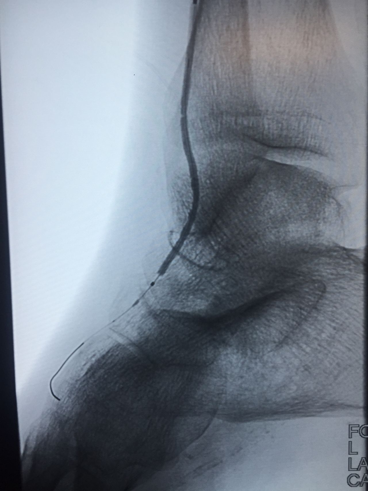 Roberto Águila Márquez-18