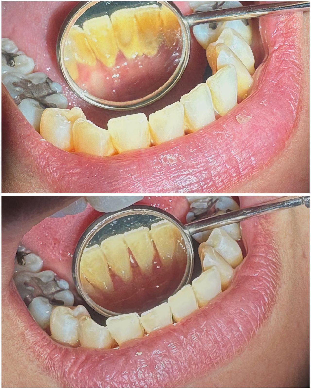 Mariana Alejandra Flores Ortega-1