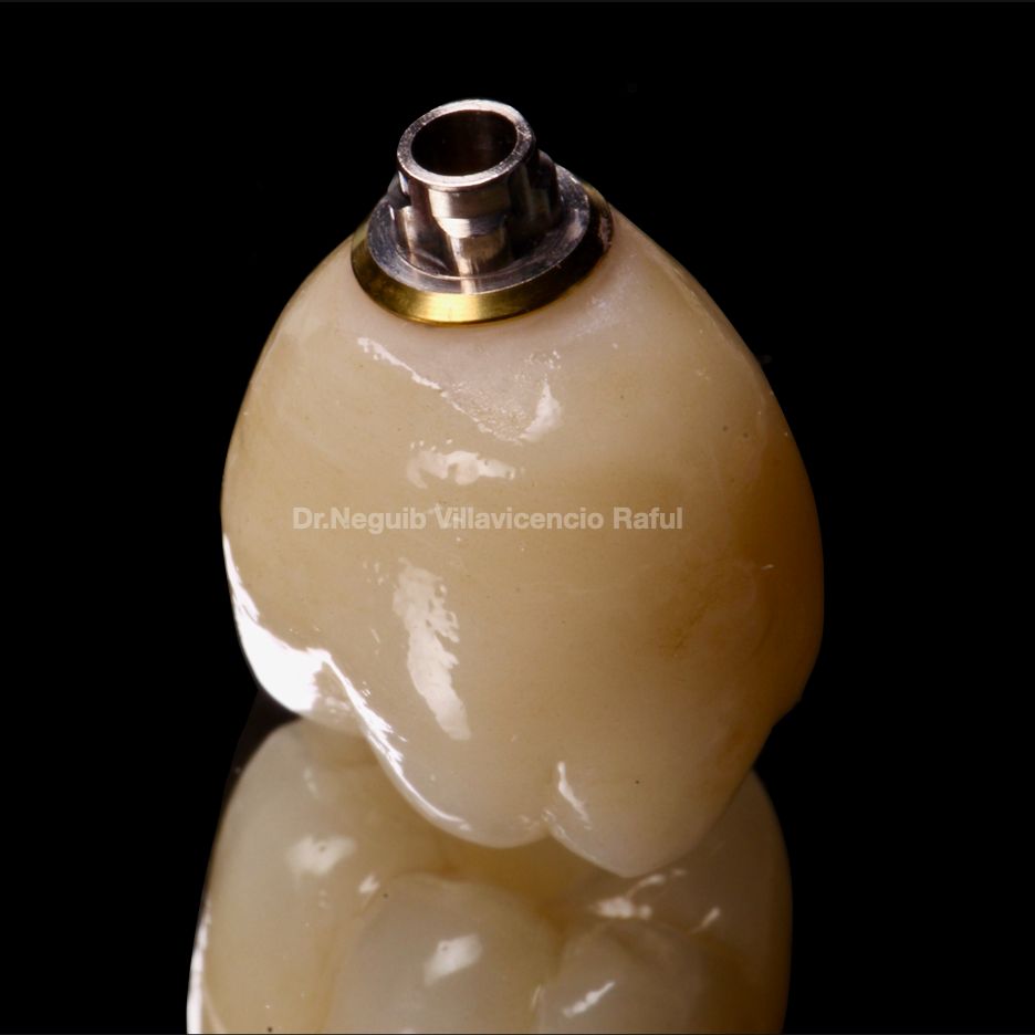 Neguib Villavicencio Raful-48