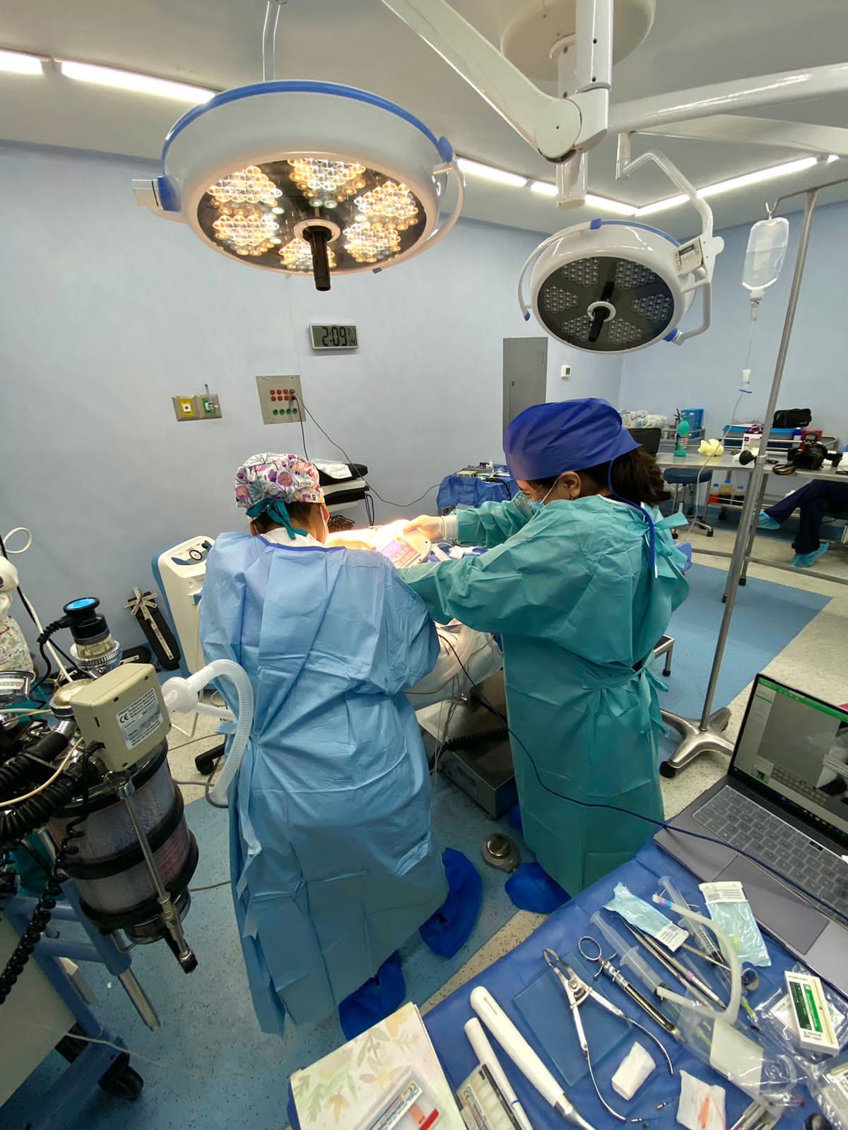 Claudia Isabel Chuc Cool-1