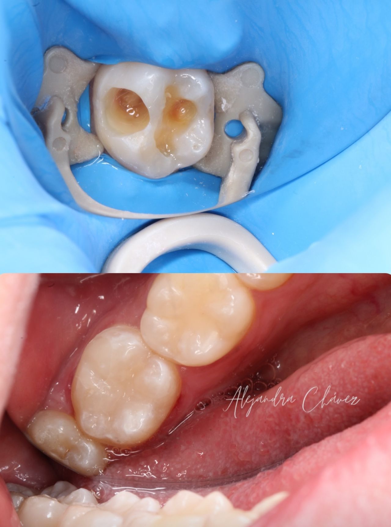 Alejandra Sujey Chávez Rodríguez-3