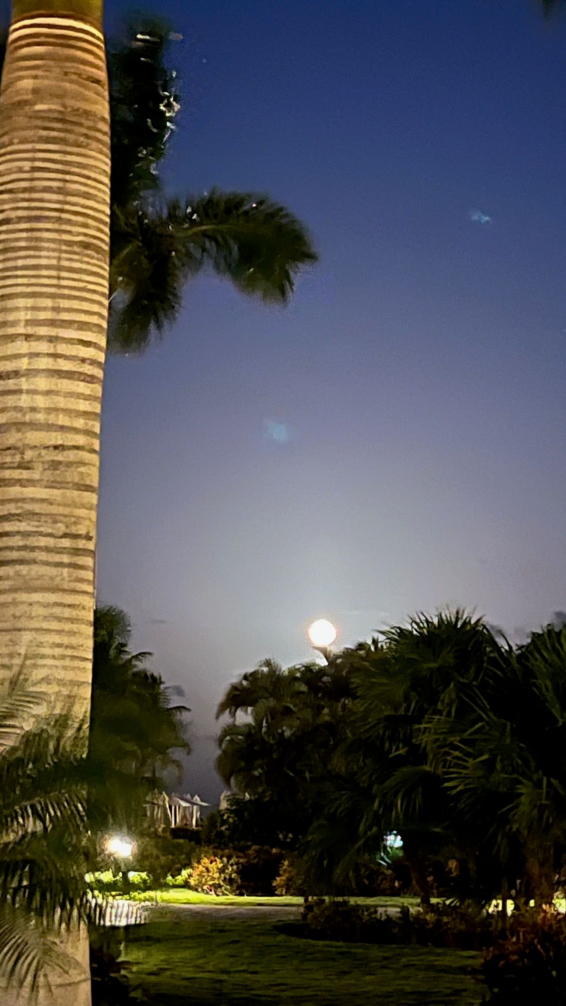 Horacio Contreras Colín-5