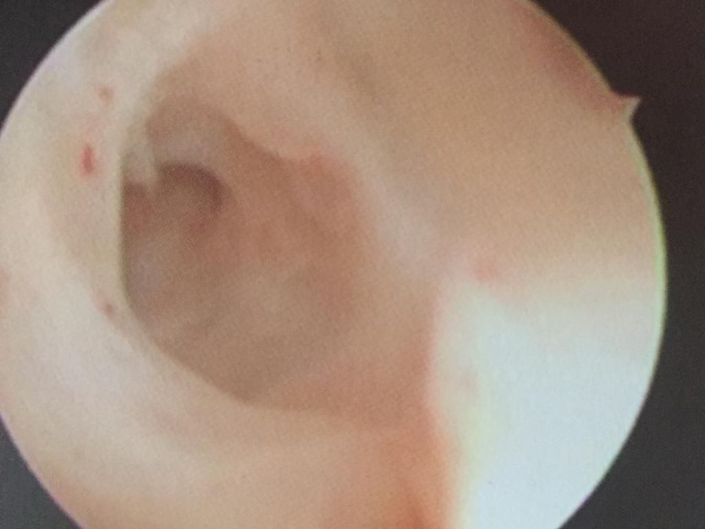 Alfredo Mendez Samano-15