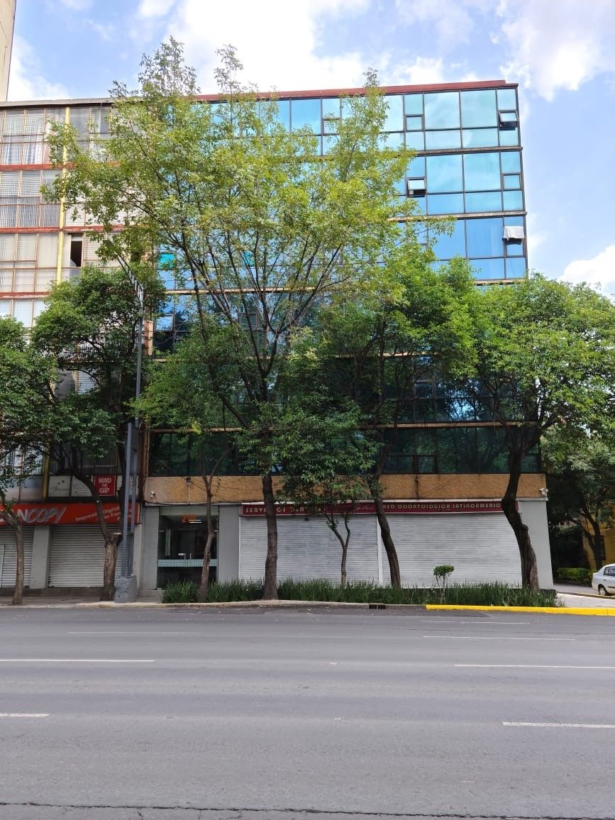 Pamela Andrea Torres Martínez-8