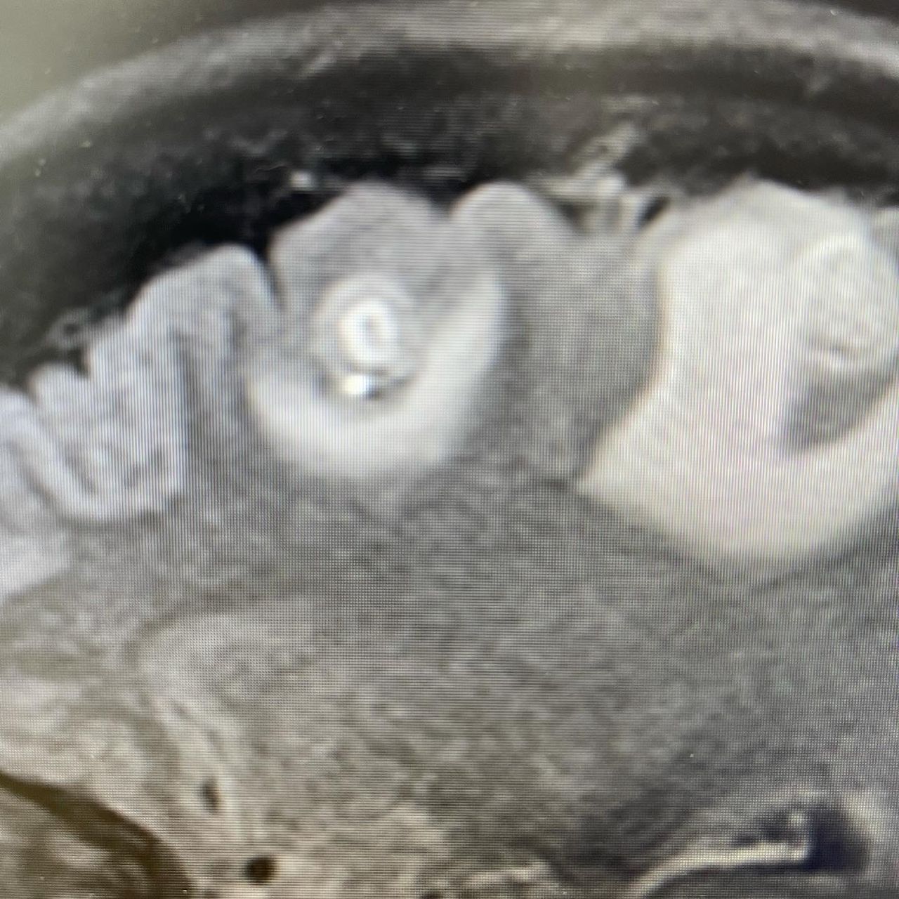 José Luis Arista Ramírez-1