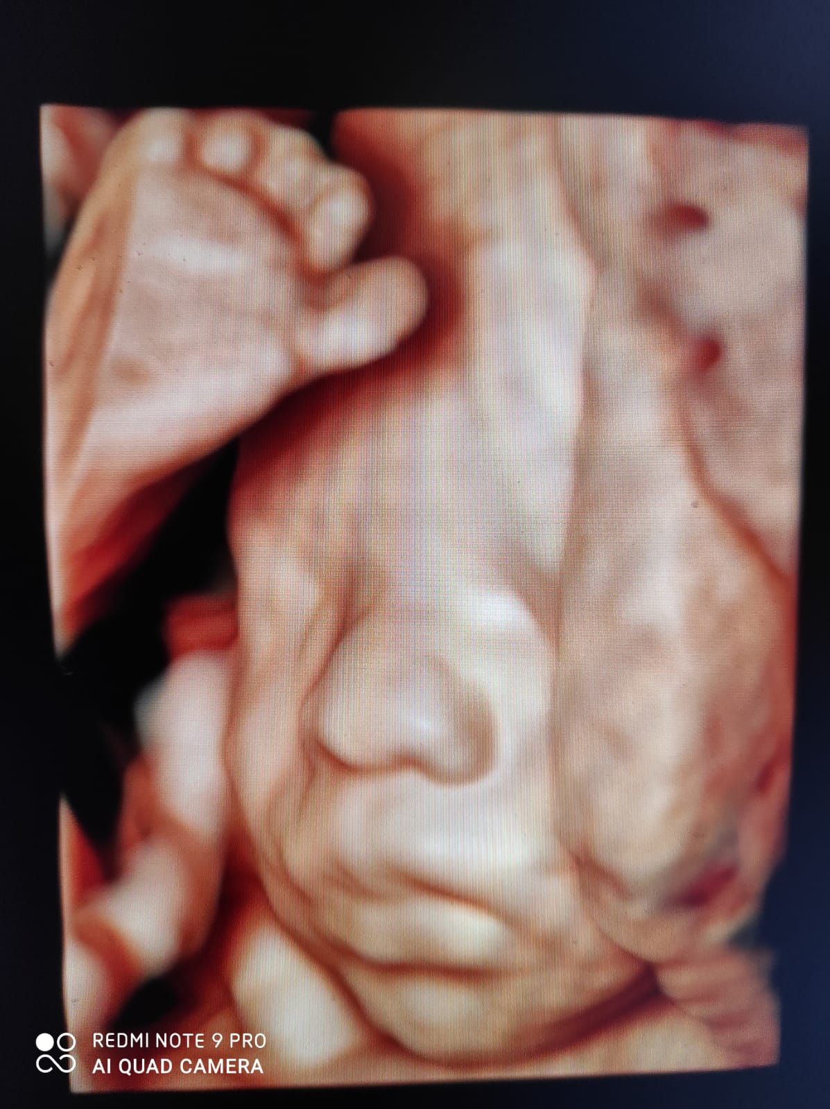 Miguel Angel González Nazar-5