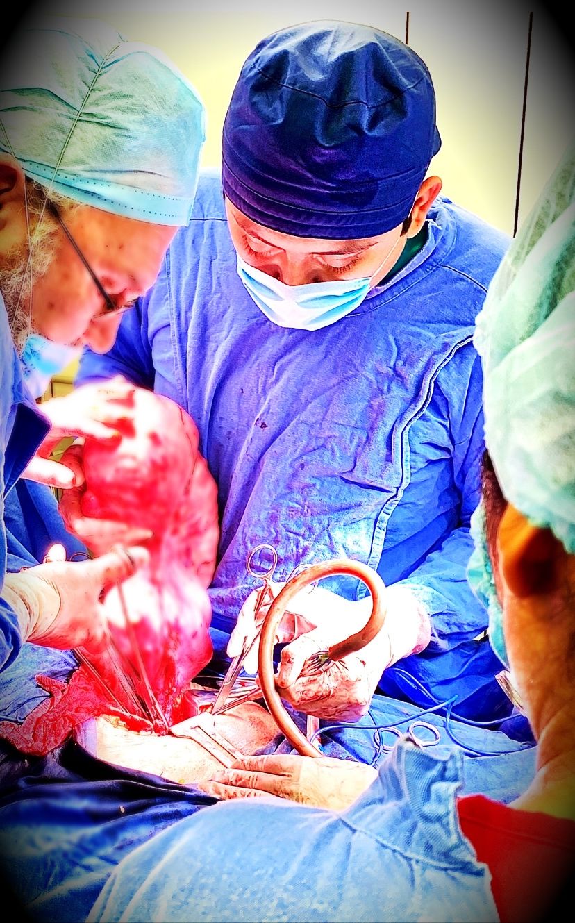 Luis Felipe Bornios Galeana-2