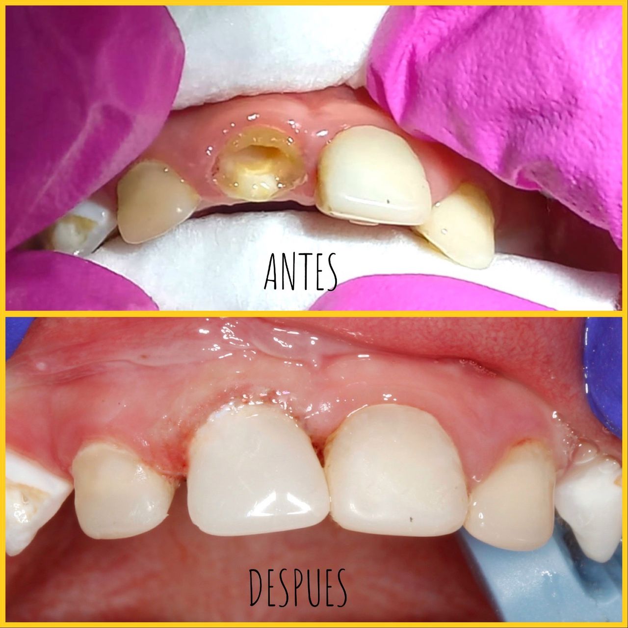 Alejandra Azucena López Trinidad-0