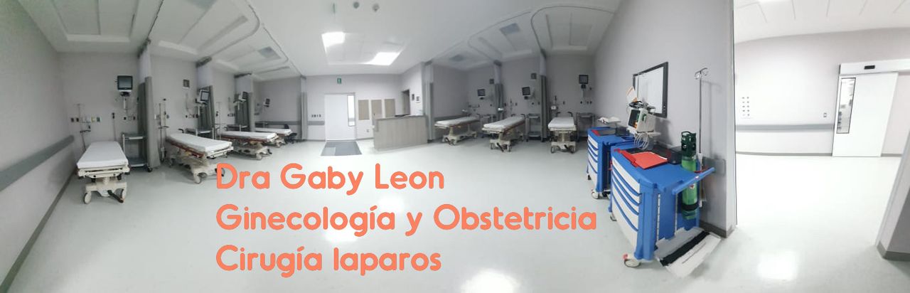 Gabriela León Flores-7