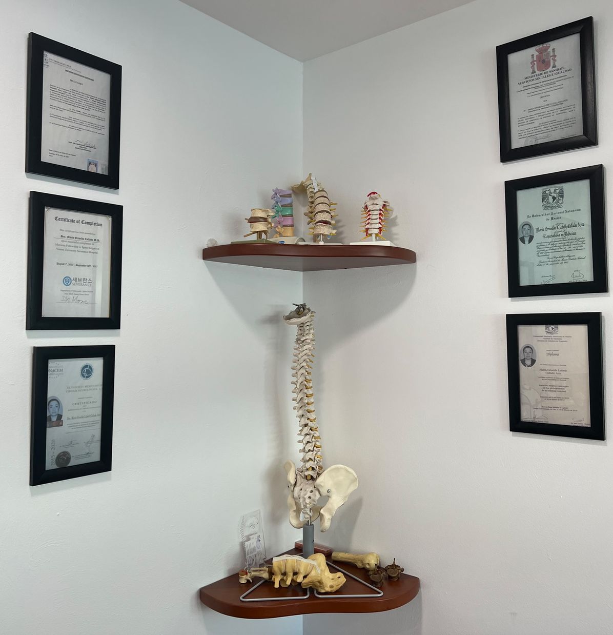 Griselda Collado Arce-6