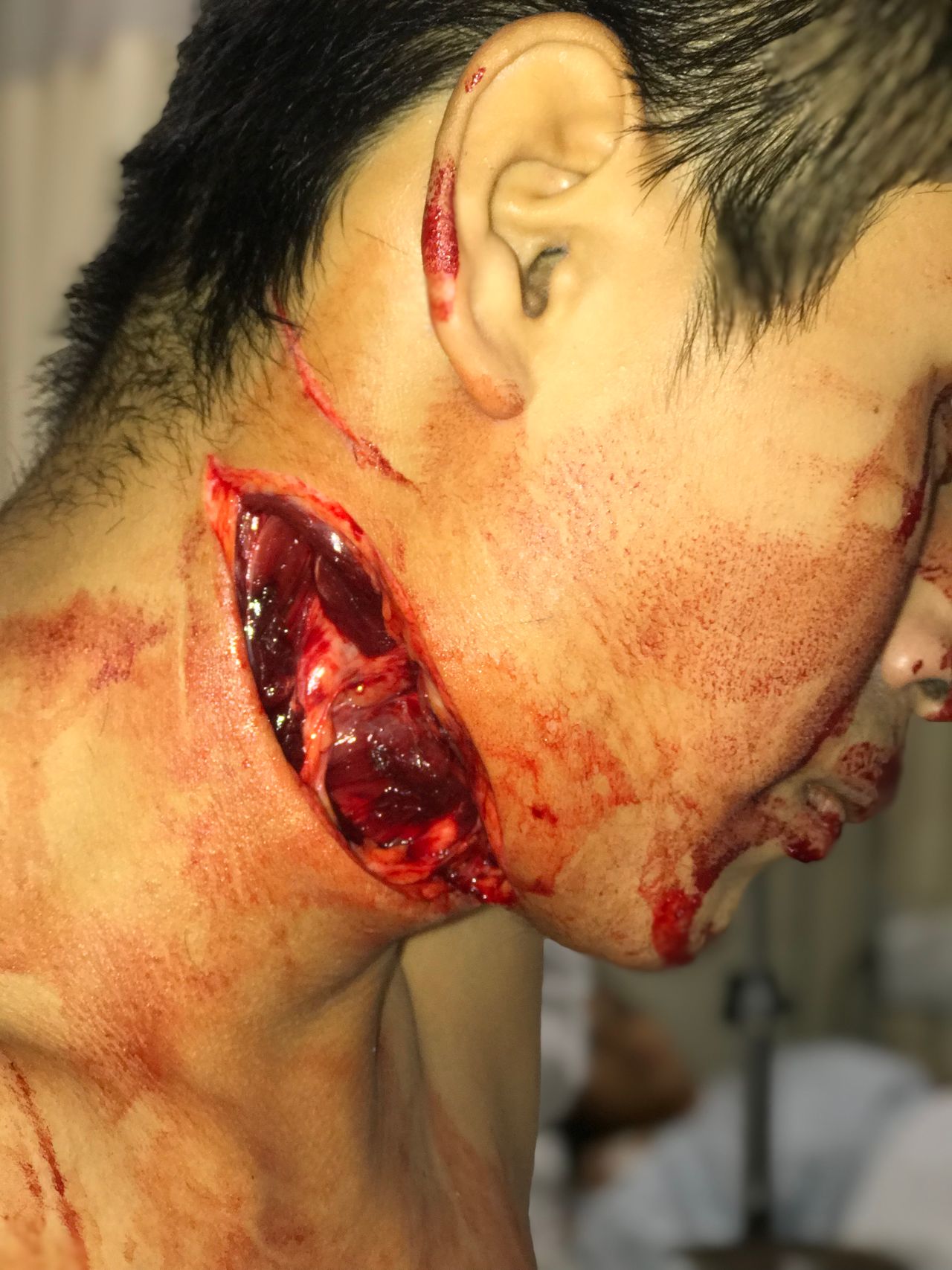Gerardo Cantú Garza-6