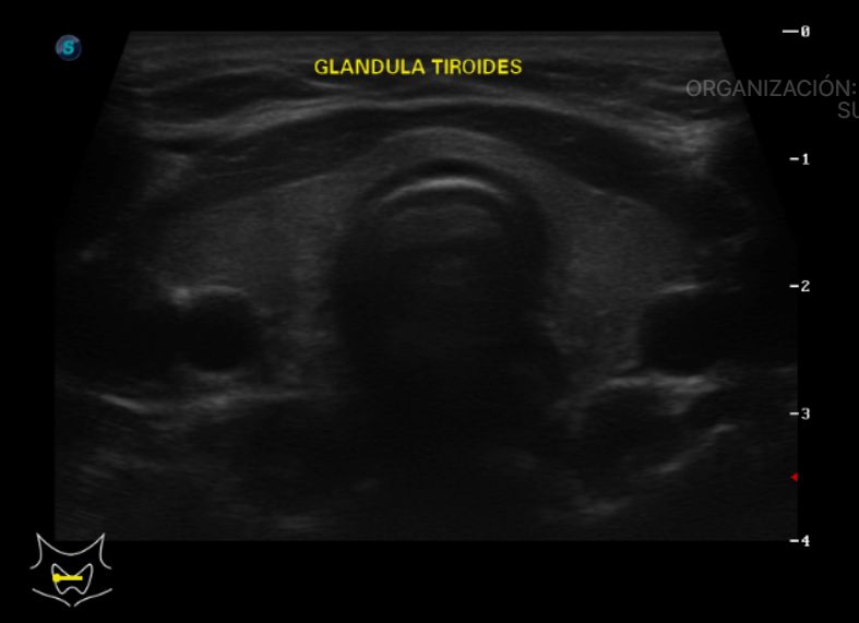 Adrian Estrada Campos-20