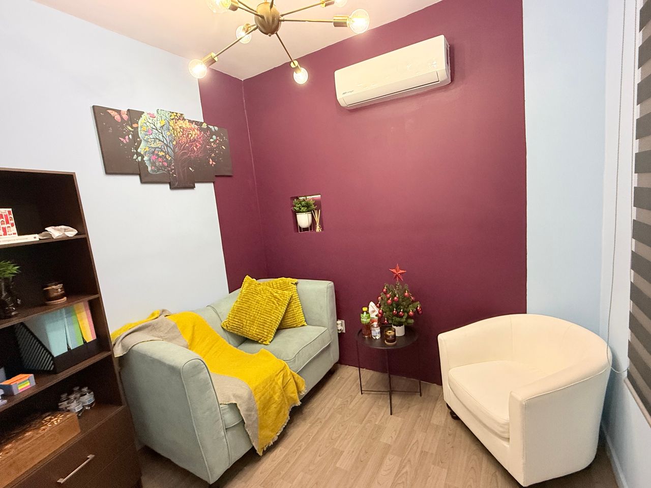 Antonio Junior Ibarra Salas-0