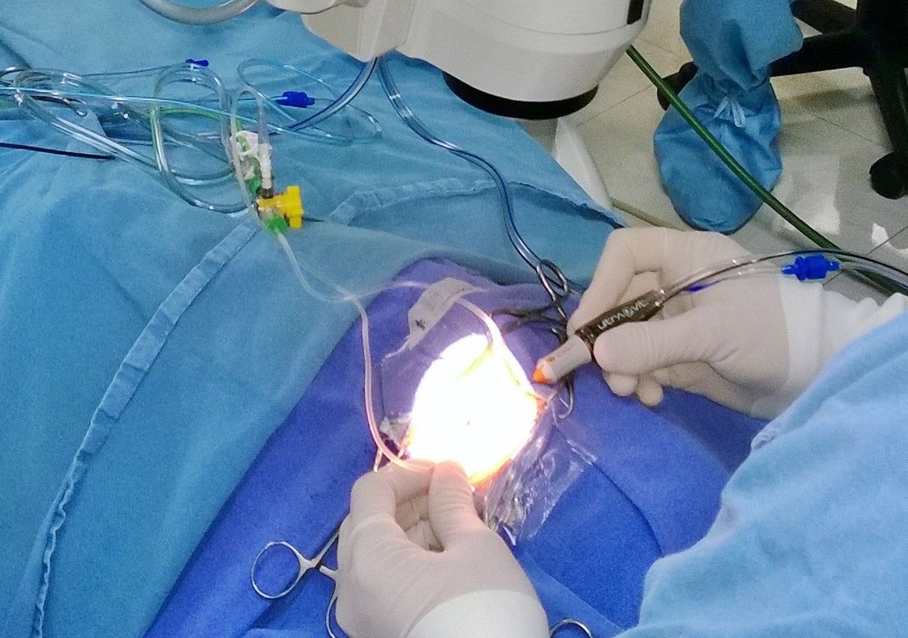 Fausto Miguel Lechuga Ortiz-3