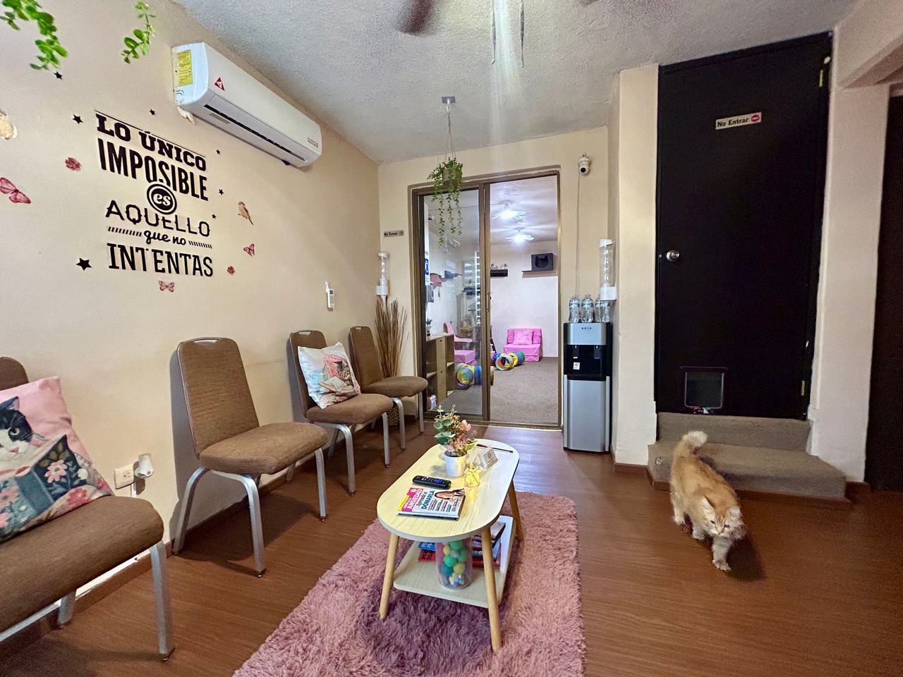 Jhoana Mendoza Larios-7